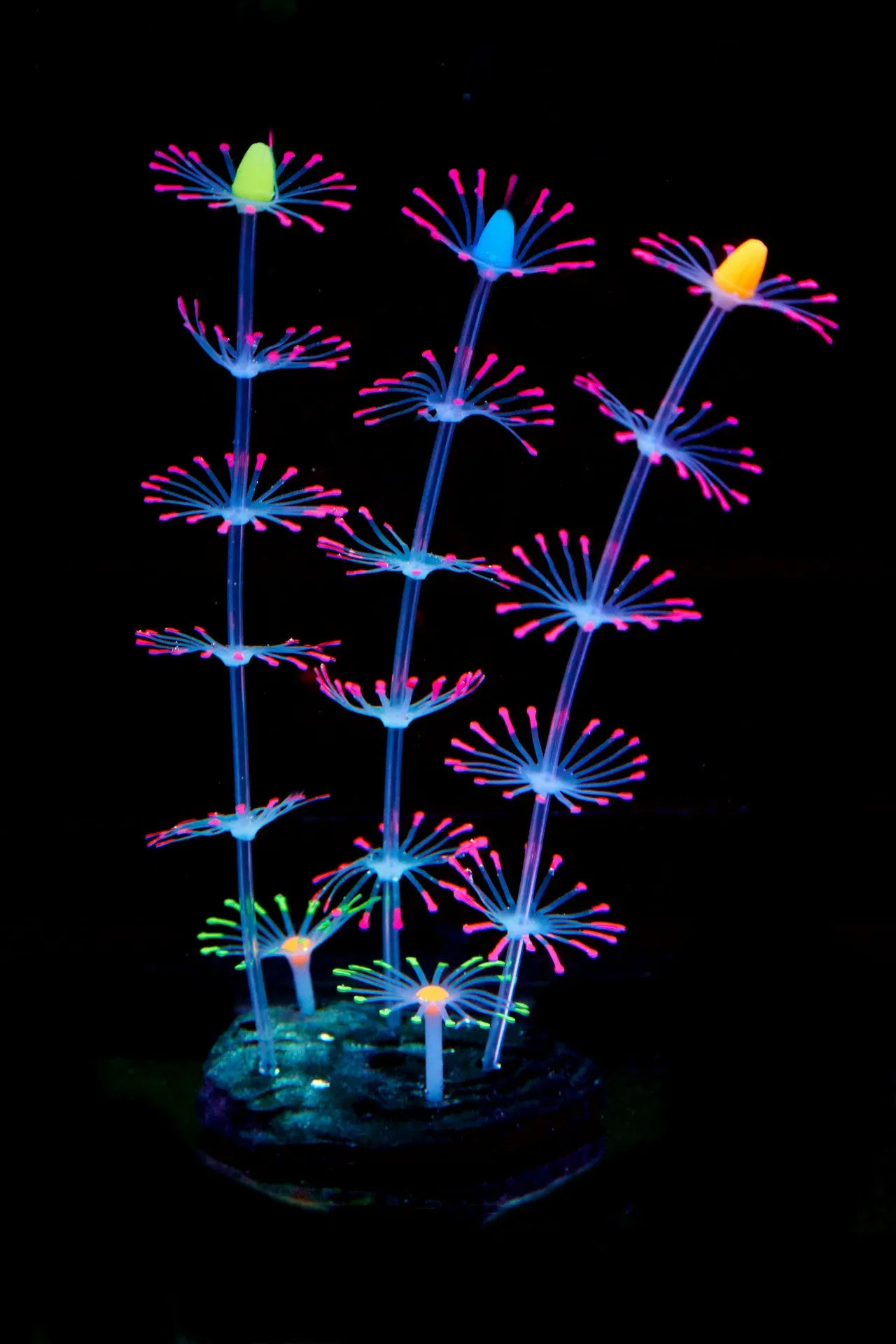 Bulk Aquarium Sea Plants Ornament Glow Plants for Fish Tank Wholesale