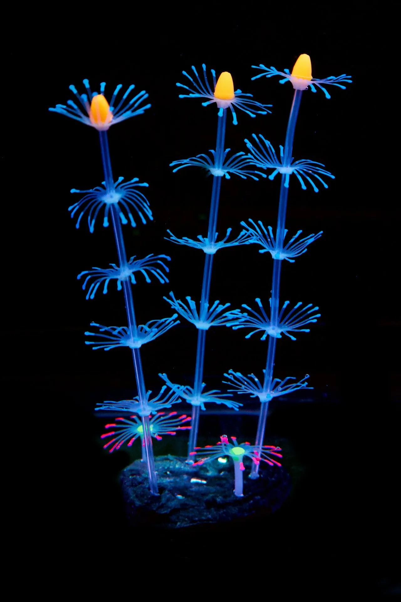 Bulk Aquarium Sea Plants Ornament Glow Plants for Fish Tank Wholesale