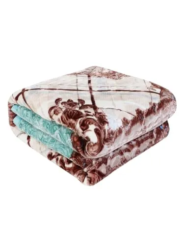 ELSTONE Home Cloudy Super Soft Fabric Floral Printed HeavyDuty Luxury Ultra 2 Ply Double Blanket for Winters with English Colors & Stylish Bag Packing Color#10