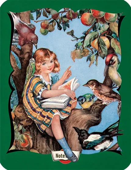 Girl Sitting Reading To Birds Fan Favorite Notebook