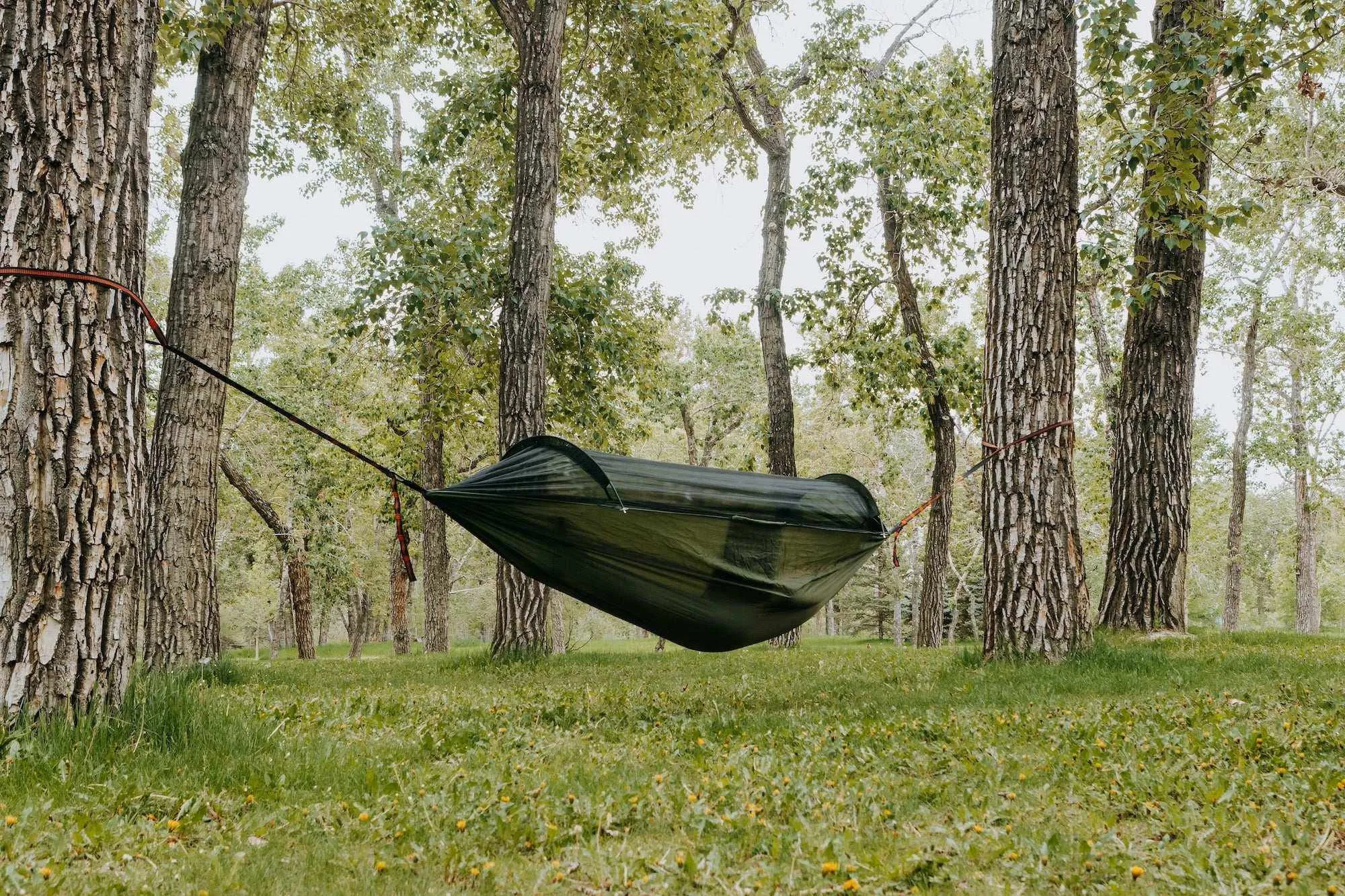 Hammock with Mosquito Net