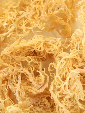 Irish Sea Moss