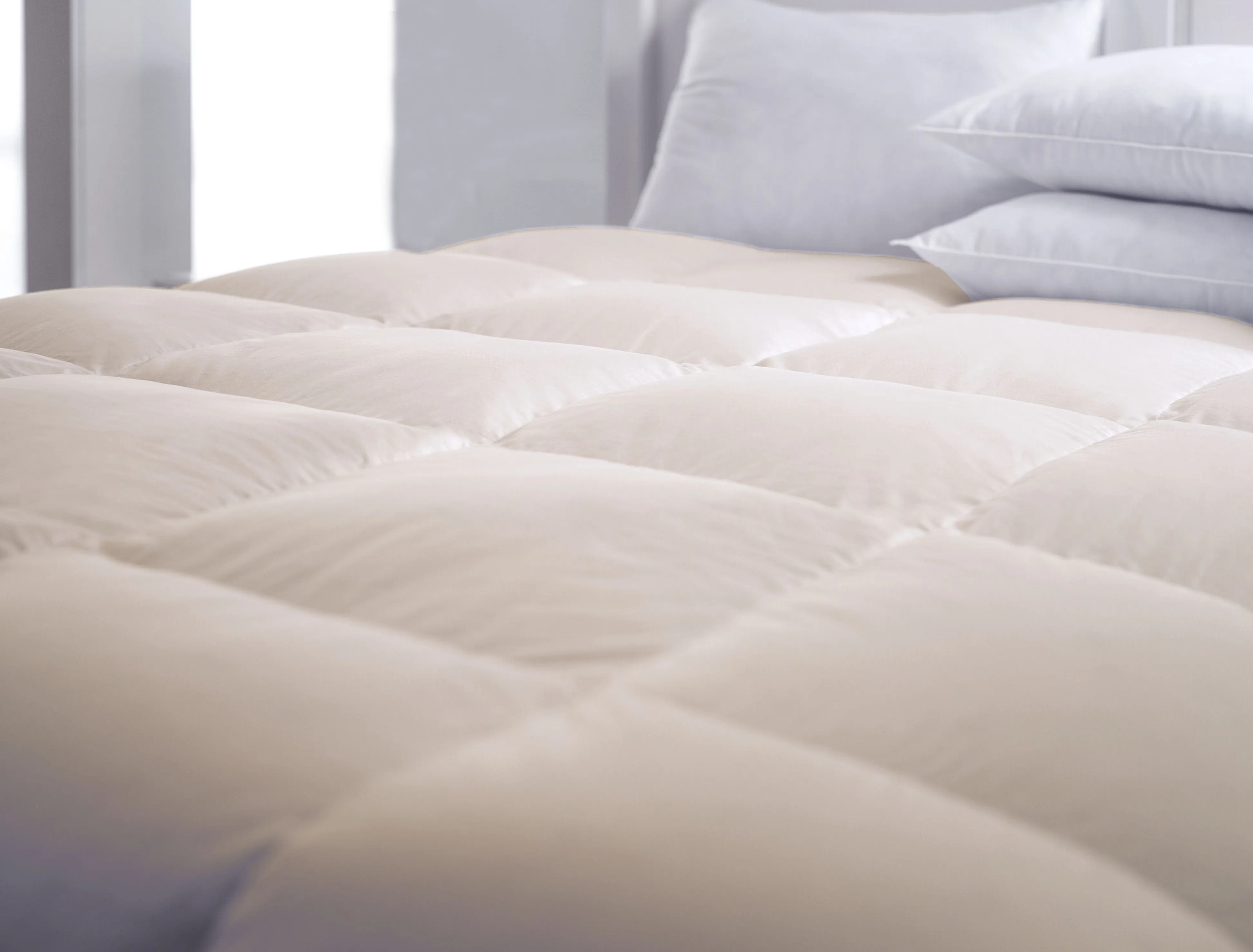 Organic Cotton Down-Free Comforter