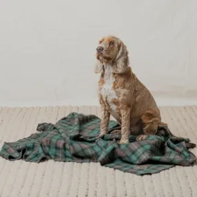 Pet Blanket | Hunter