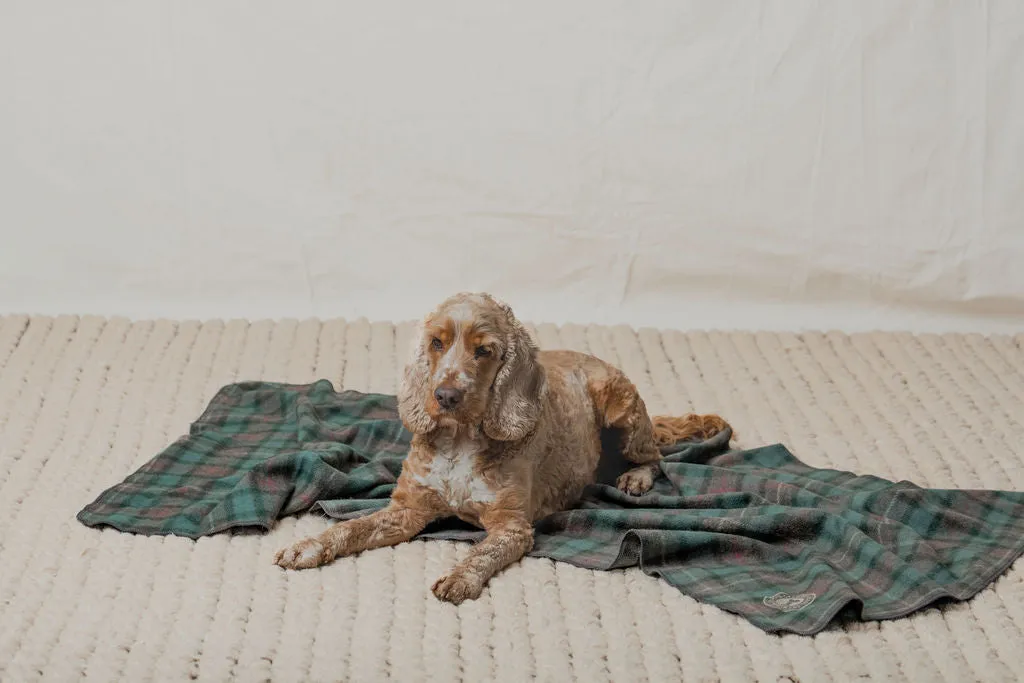 Pet Blanket | Hunter