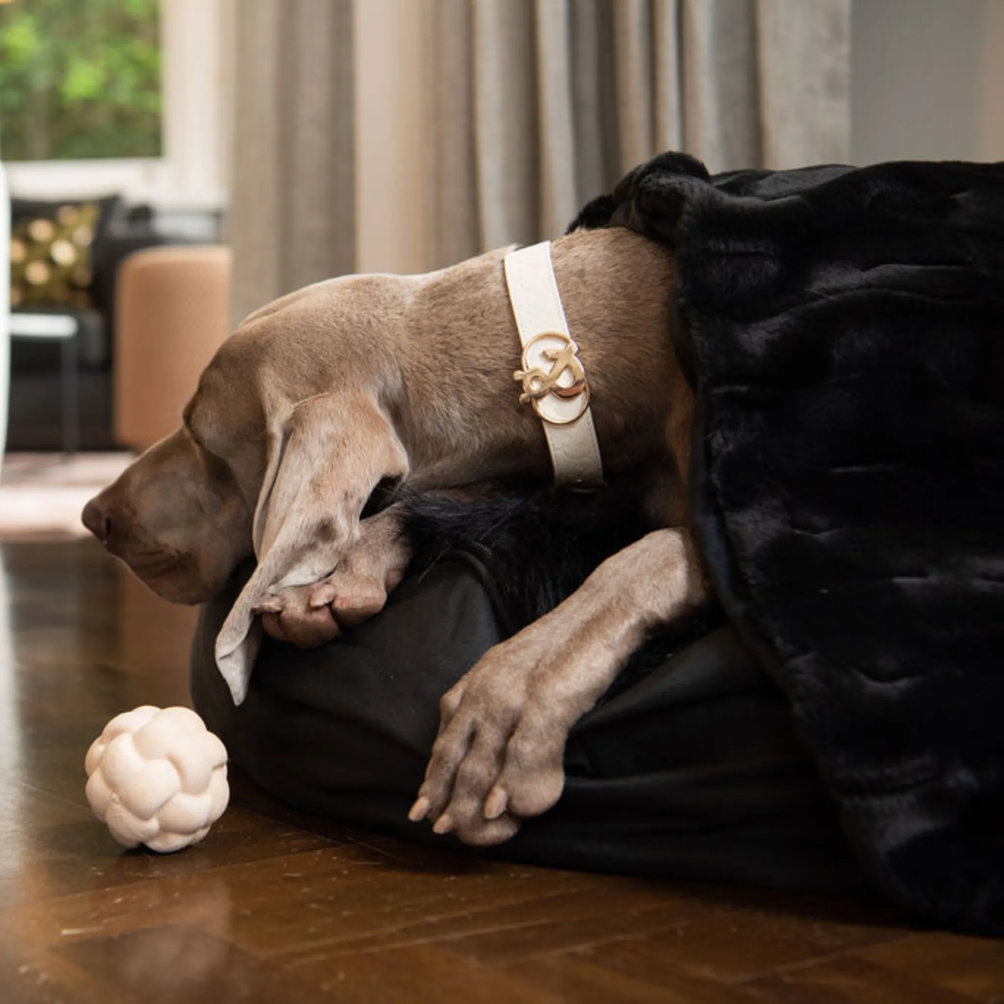 Rozelle Deluxe Pet Blanket