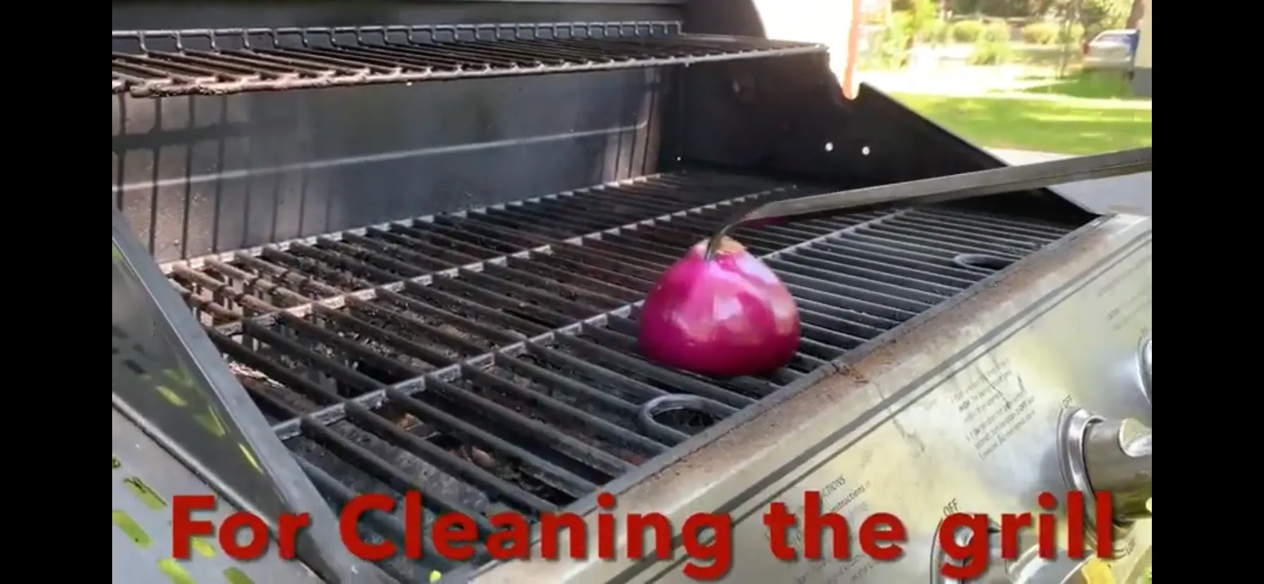 Snake Bite Grill cleaning fork