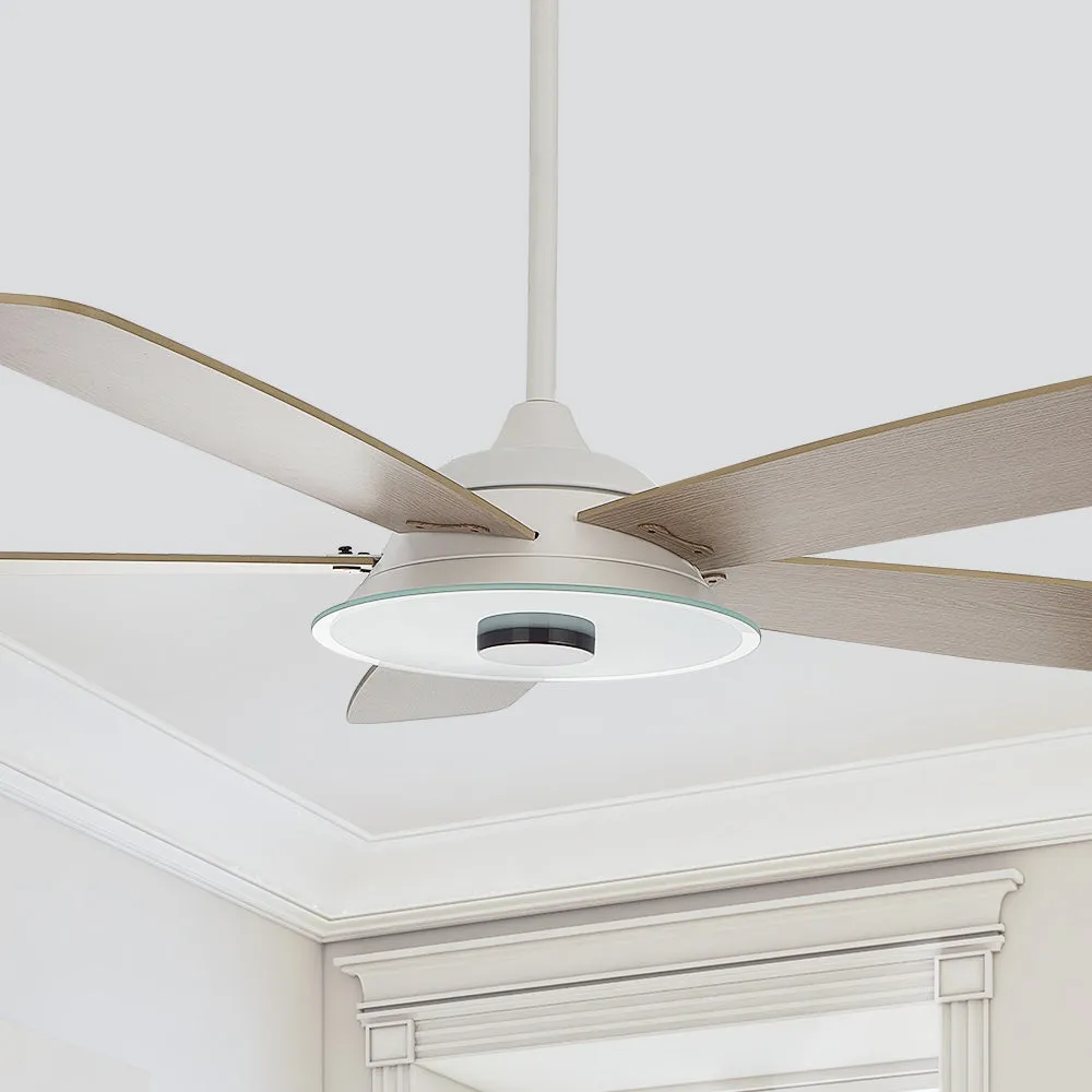 Striker Smart Ceiling Fan with LED Light and Remote Outdoor/Indoor 56"