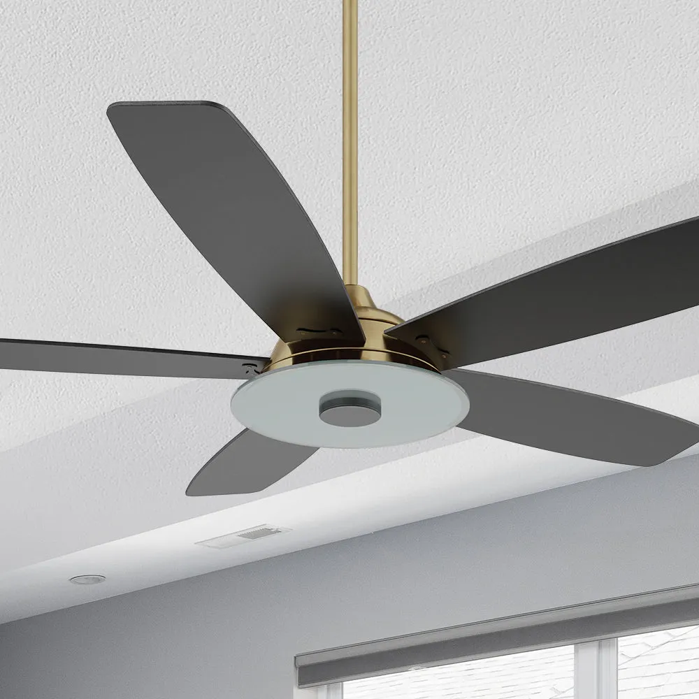 Striker Smart Ceiling Fan with LED Light and Remote Outdoor/Indoor 56"