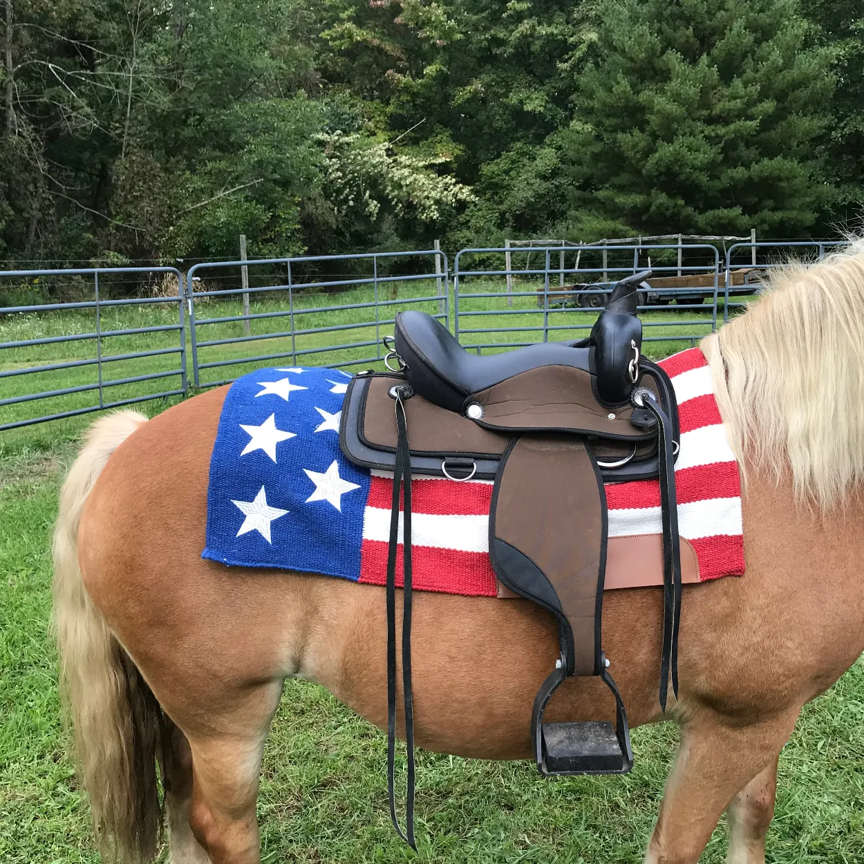 Tahoe Tack 34" x 36" American Pride New Zealand Wool Western Saddle Blanket