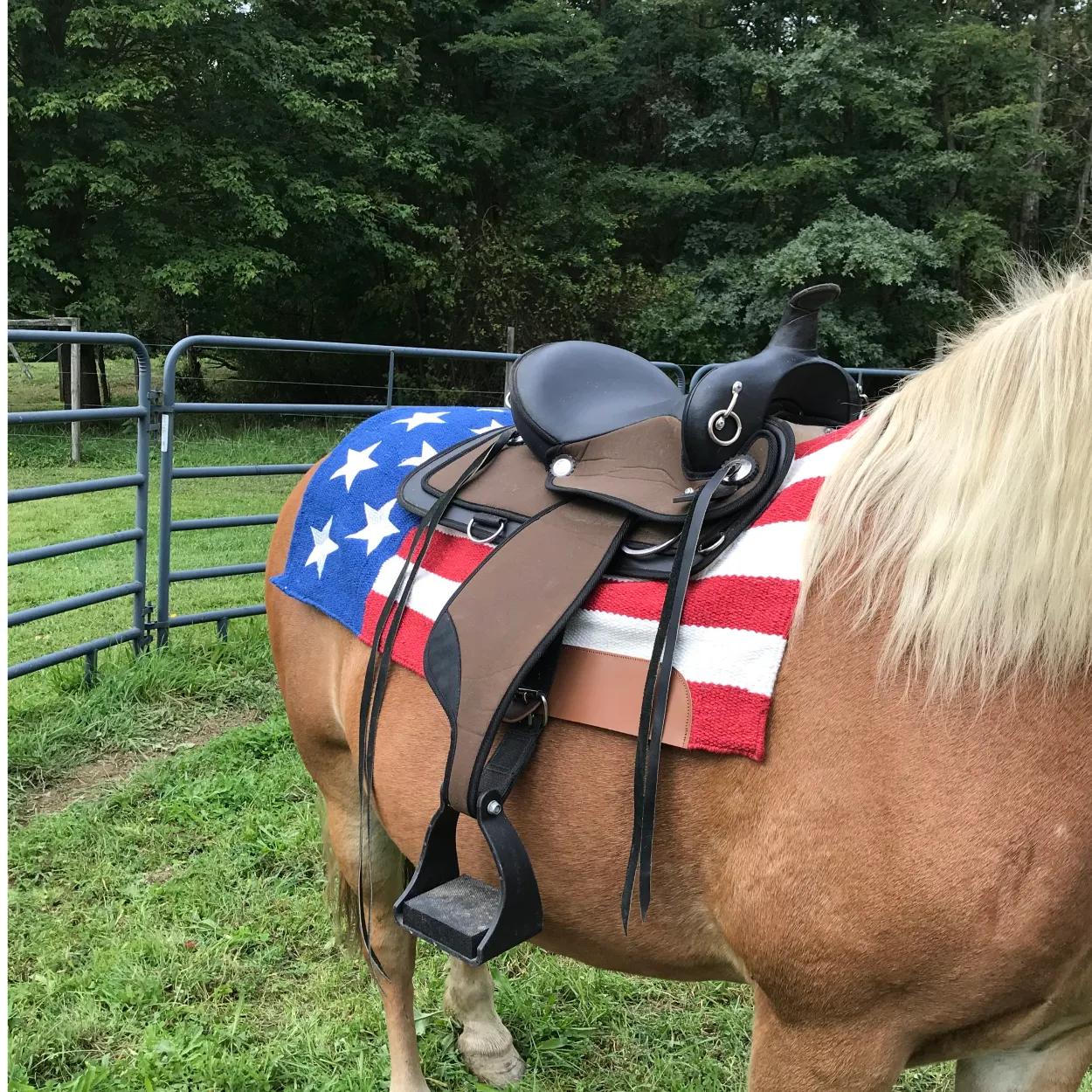 Tahoe Tack 34" x 36" American Pride New Zealand Wool Western Saddle Blanket