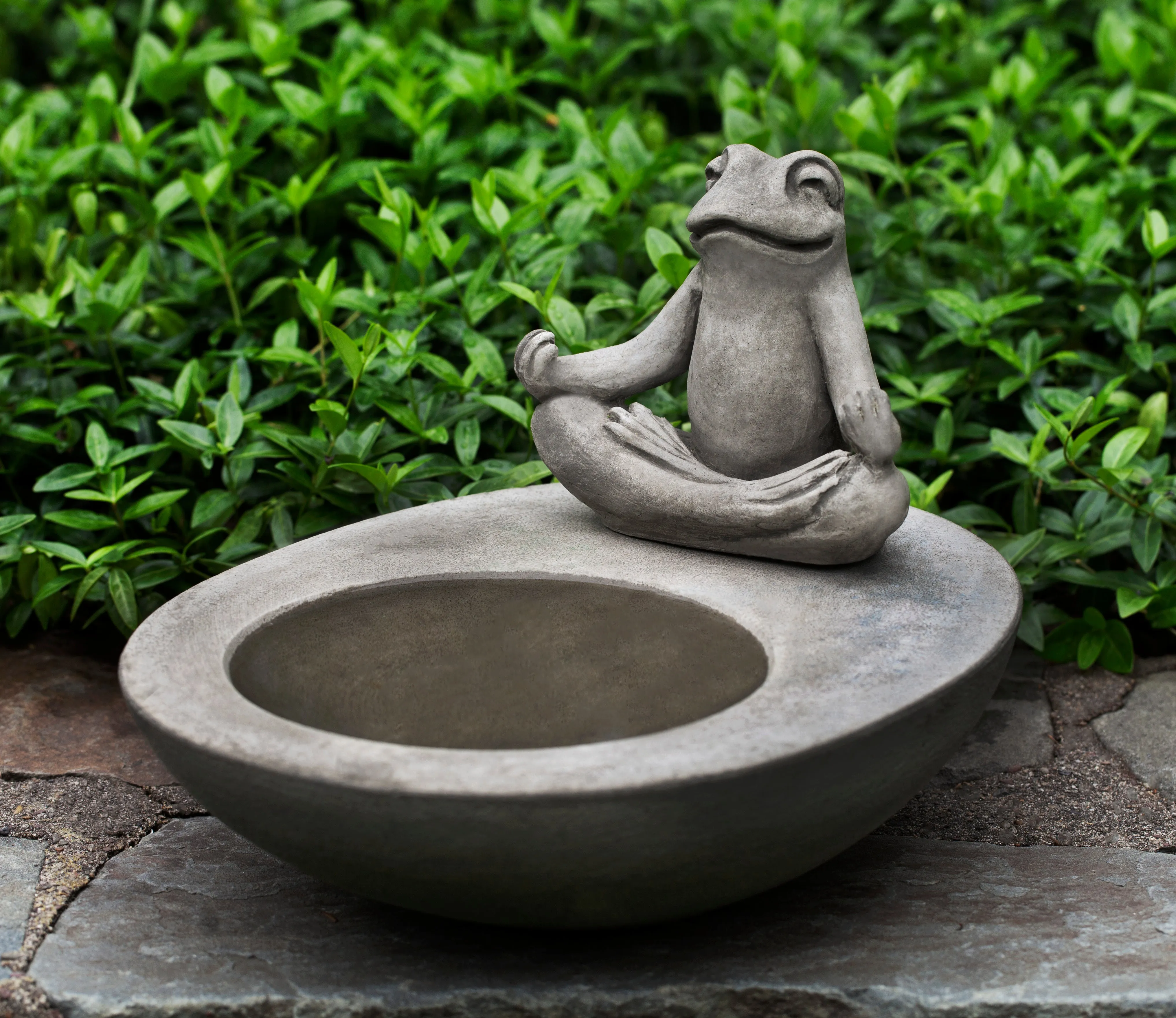 Zen Frog Bird Bath